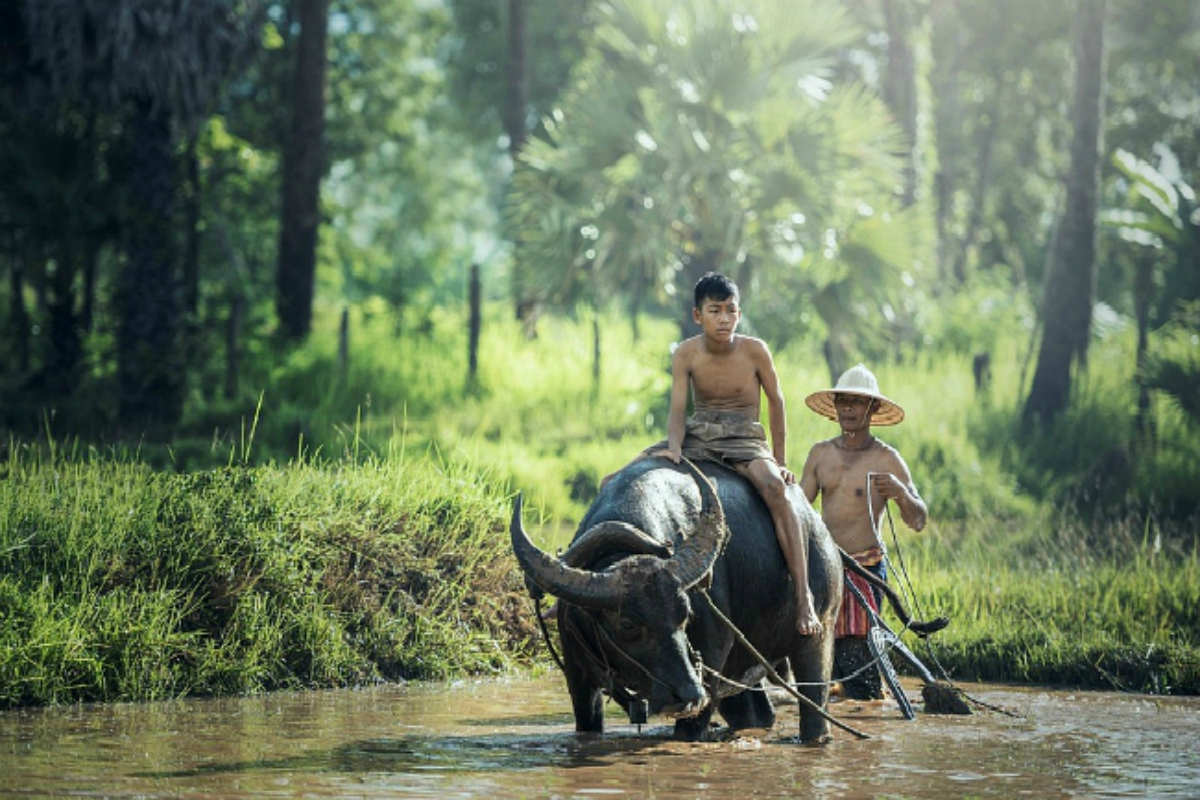 laos