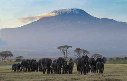 Afrika